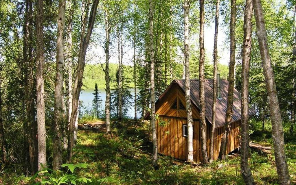 Talkeetna Lakeside Cabins Denali Eksteriør bilde